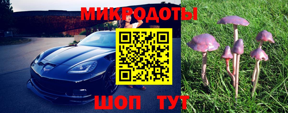 Пугачёв  Галлюциногенные грибы Magic Shrooms  Вход с VPN  Галлюциногенные грибы мухоморы 